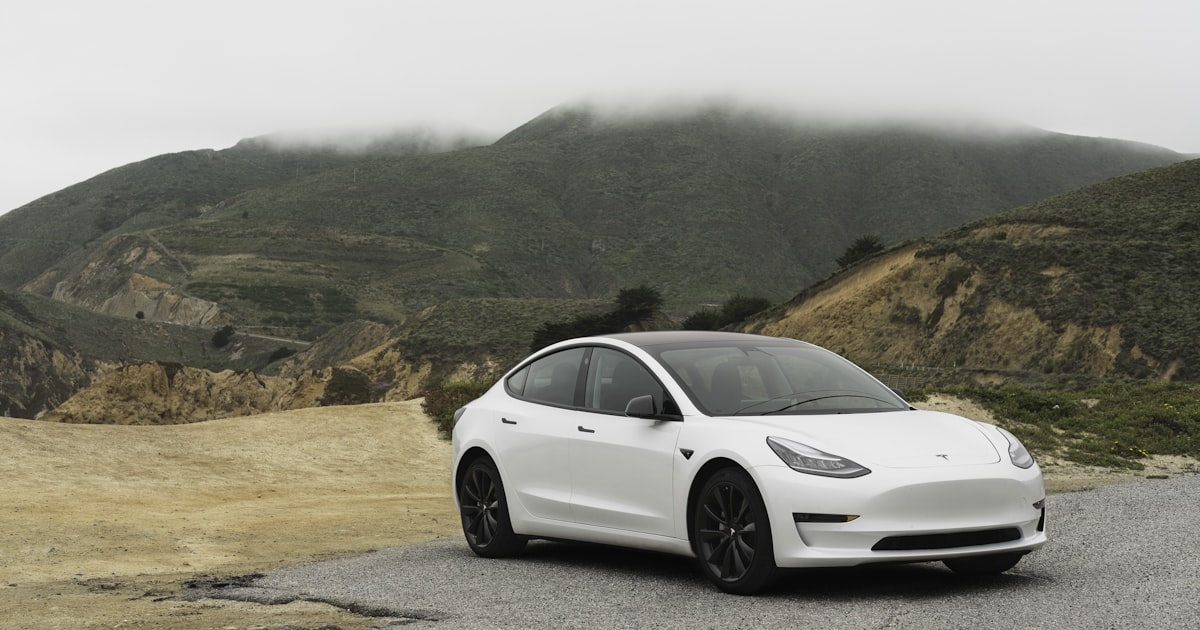 Como Acionar o Seguro em Caso de Sinistro: Passo a Passo